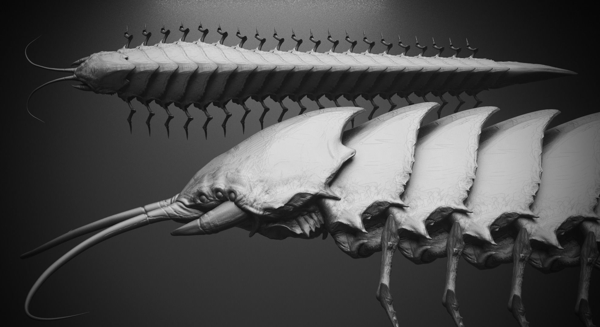 CRAWLERS - 33 Creeping Beasts Curve Brush and OBJs 3D model_21