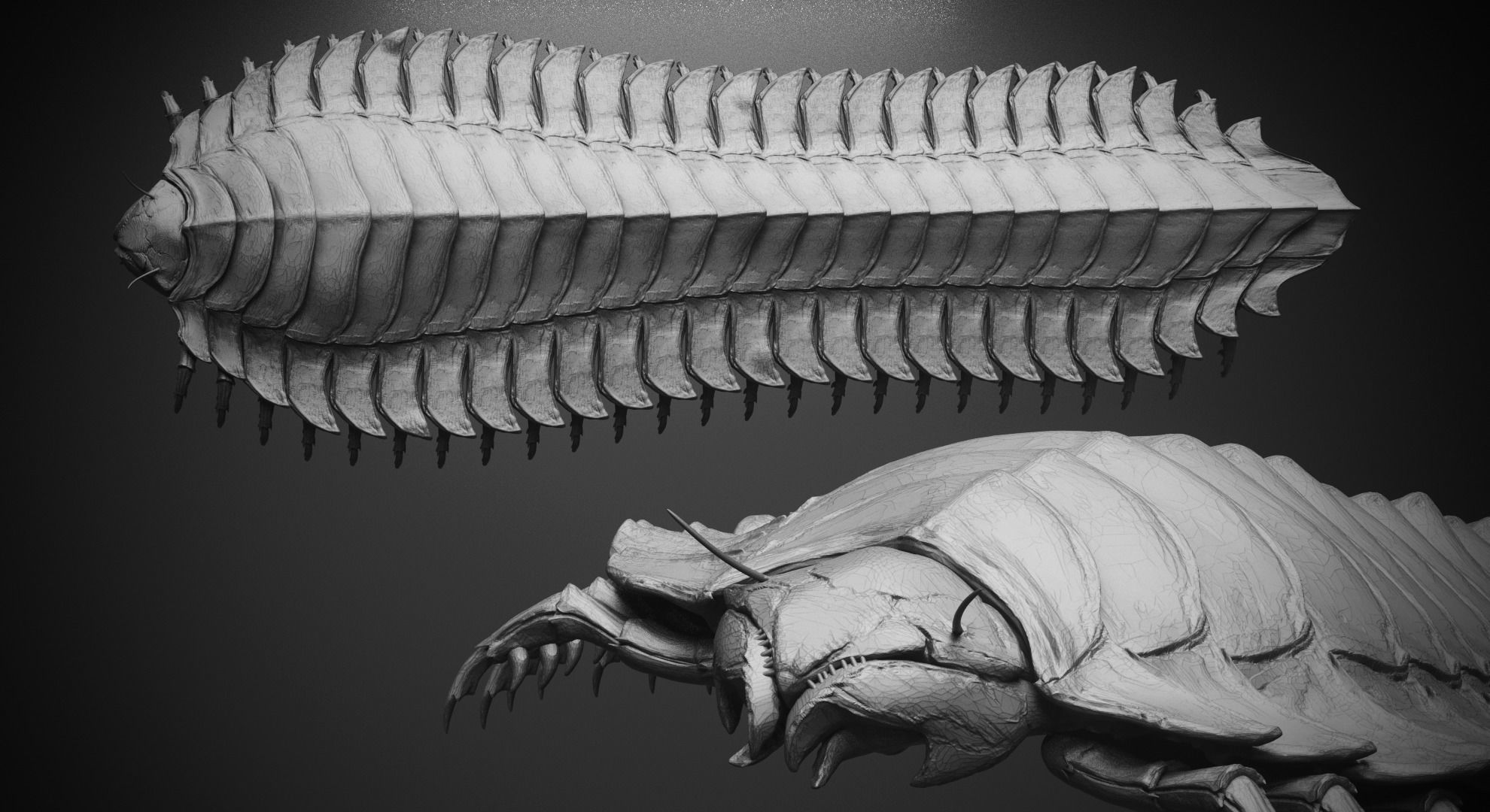 CRAWLERS - 33 Creeping Beasts Curve Brush and OBJs 3D model_33