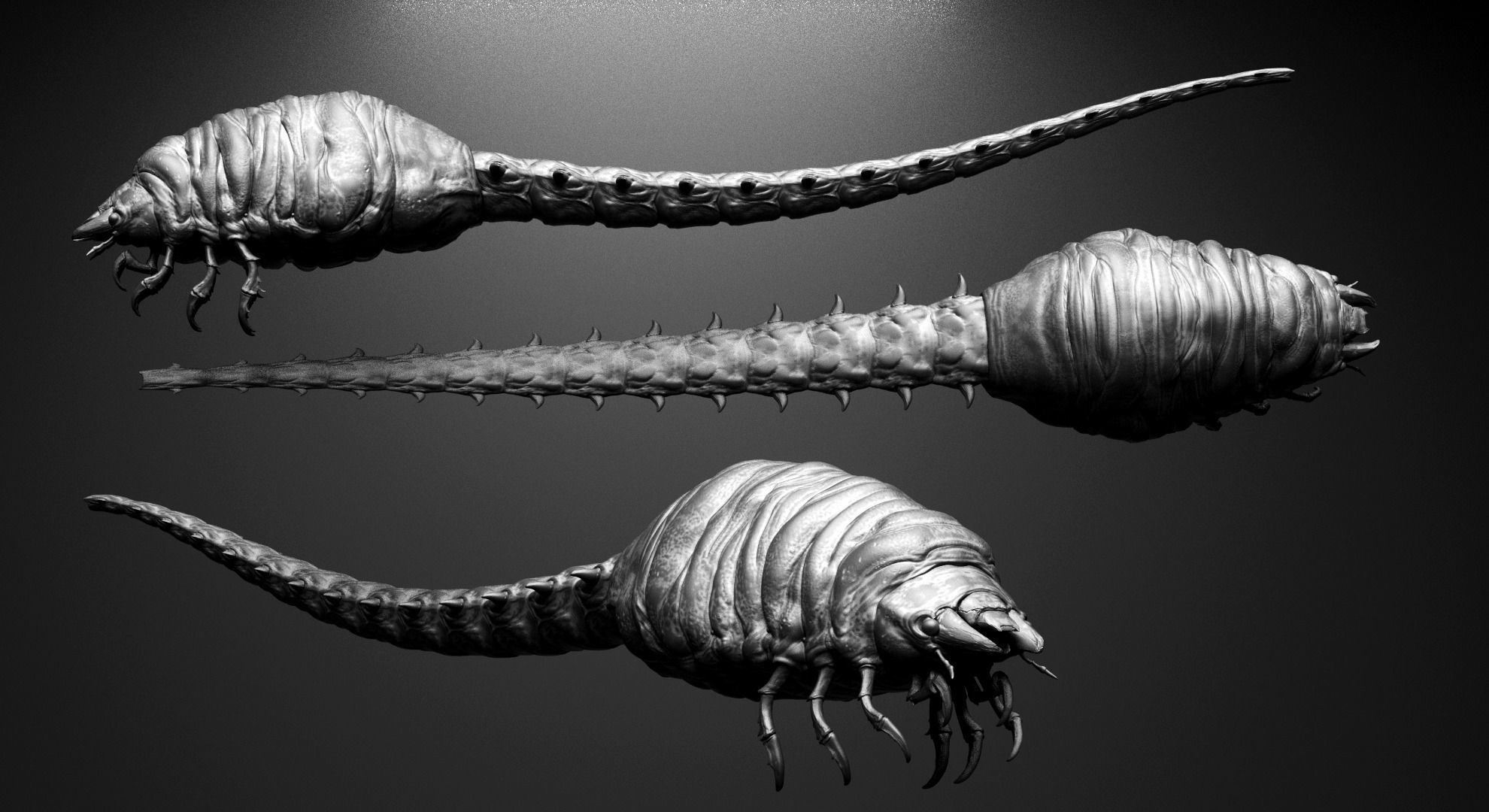 CRAWLERS - 33 Creeping Beasts Curve Brush and OBJs 3D model_55