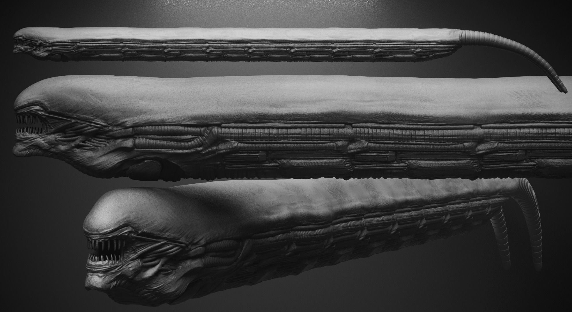 CRAWLERS - 33 Creeping Beasts Curve Brush and OBJs 3D model_51