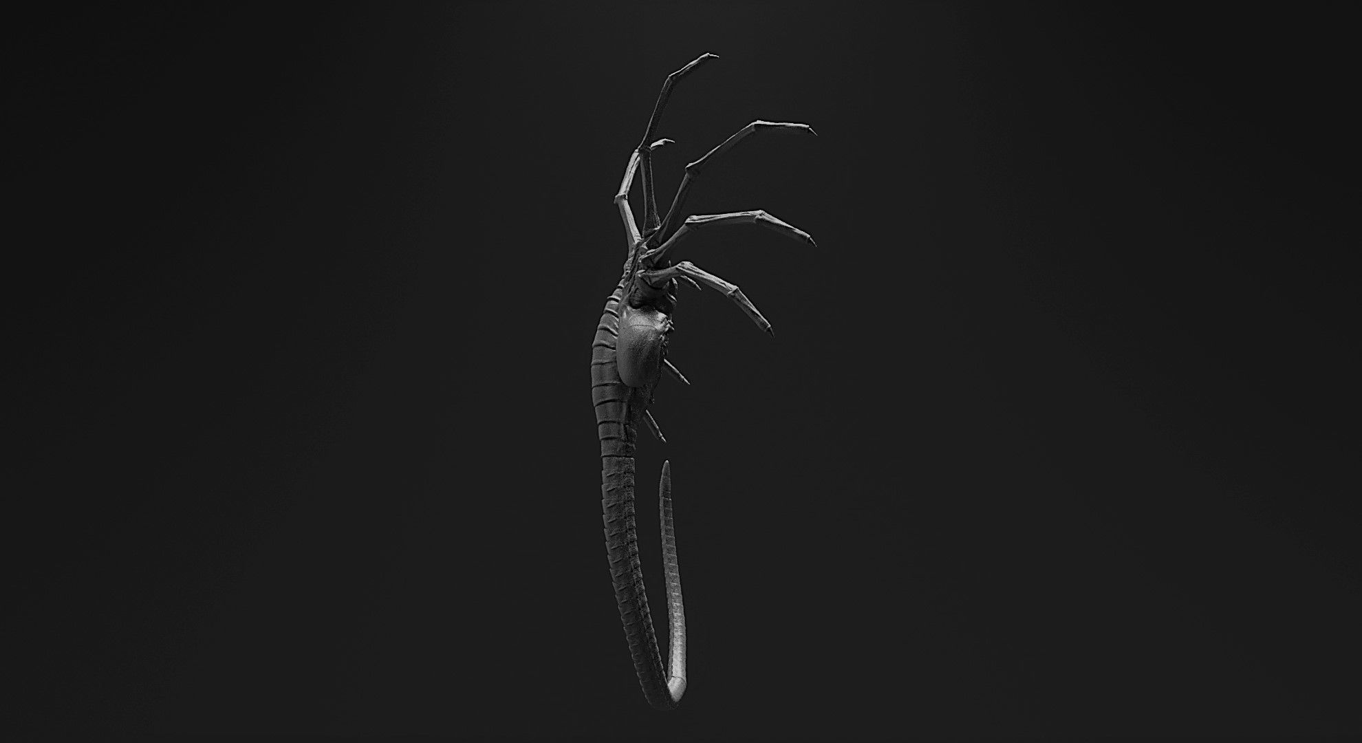 CRAWLERS - 33 Creeping Beasts Curve Brush and OBJs 3D model_26