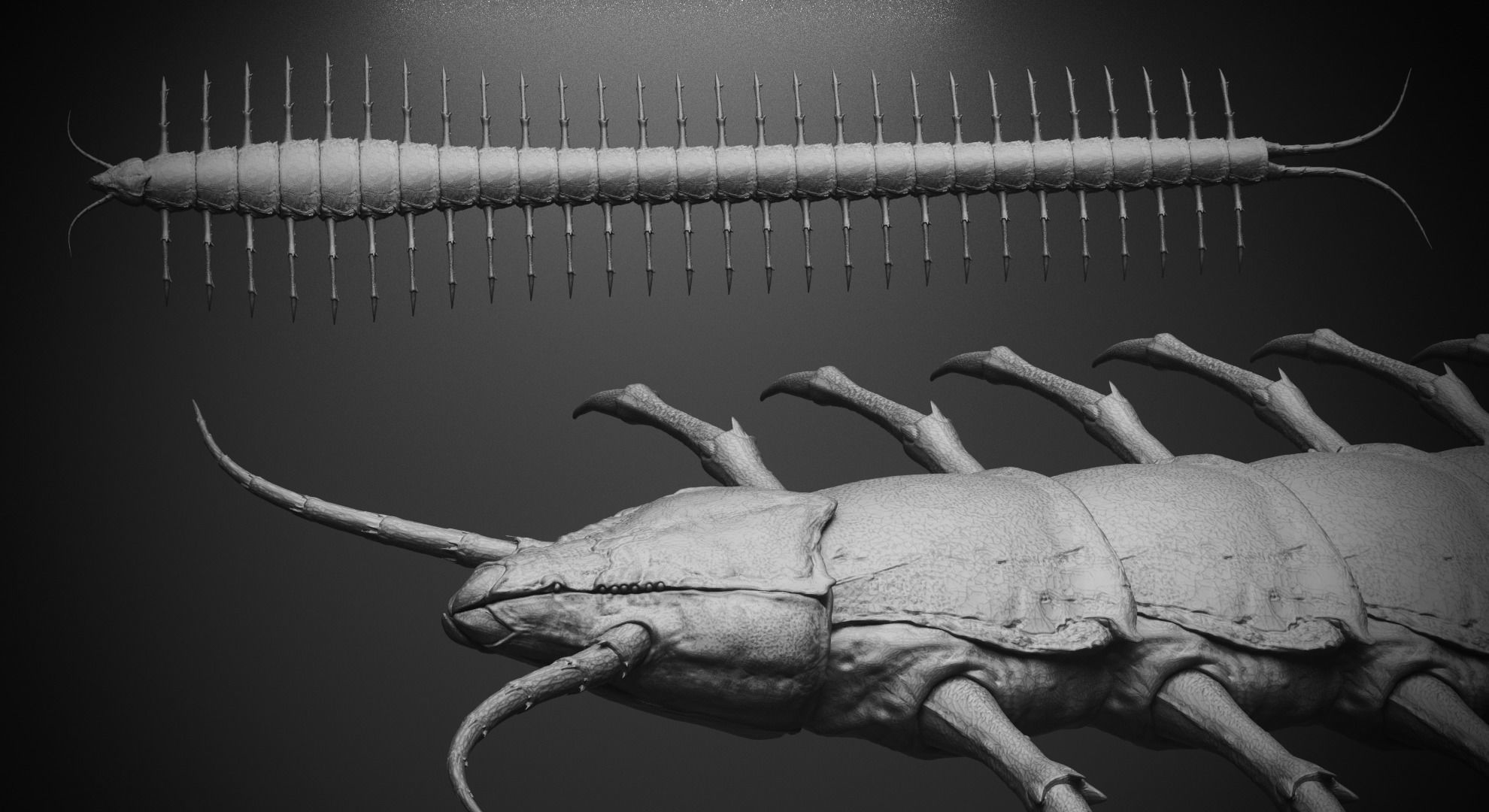 CRAWLERS - 33 Creeping Beasts Curve Brush and OBJs 3D model_34