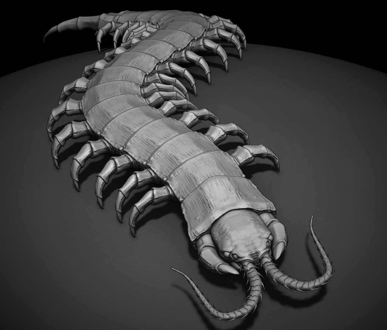 CRAWLERS - 33 Creeping Beasts Curve Brush and OBJs 3D model_19