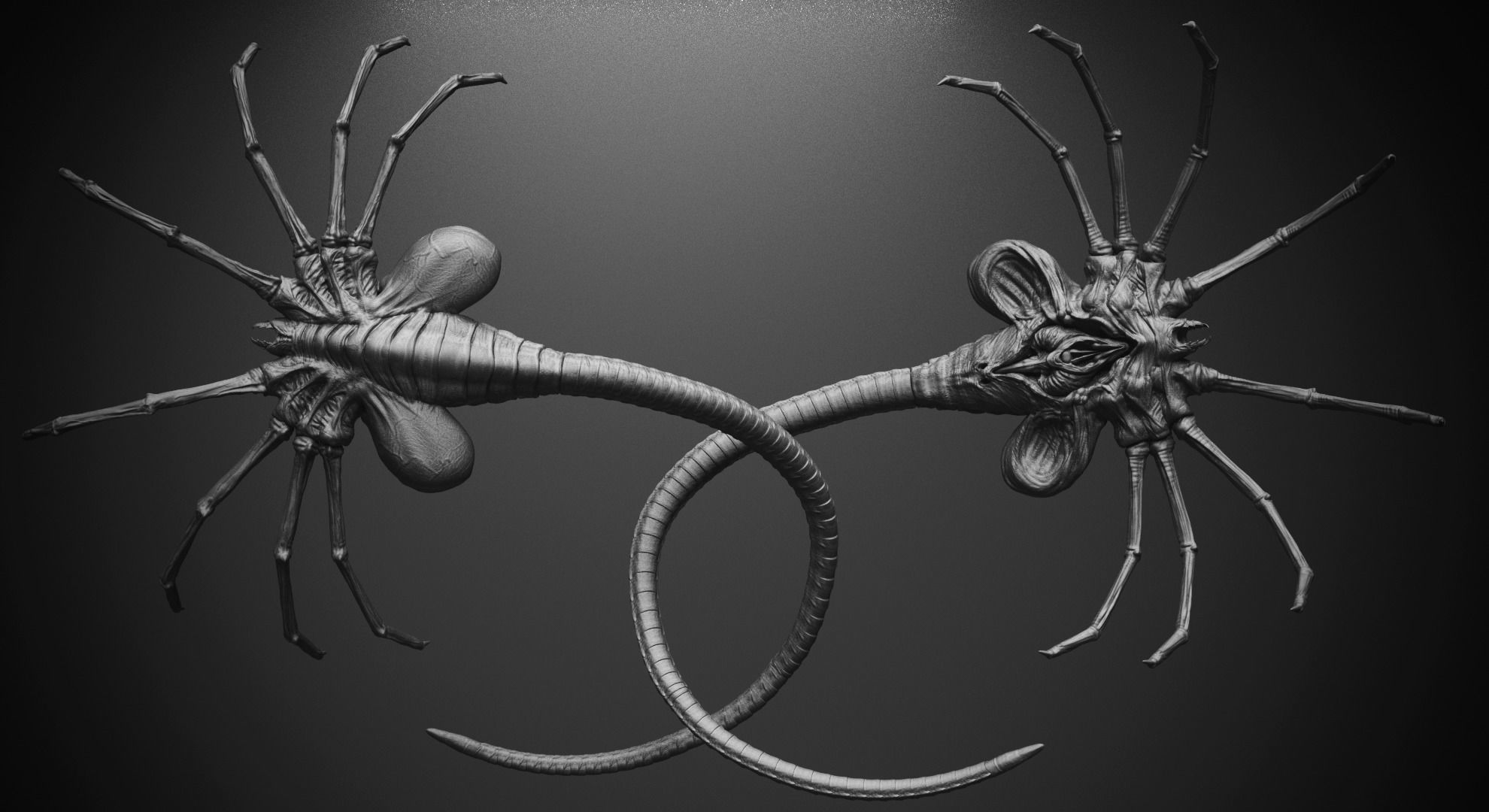 CRAWLERS - 33 Creeping Beasts Curve Brush and OBJs 3D model_22