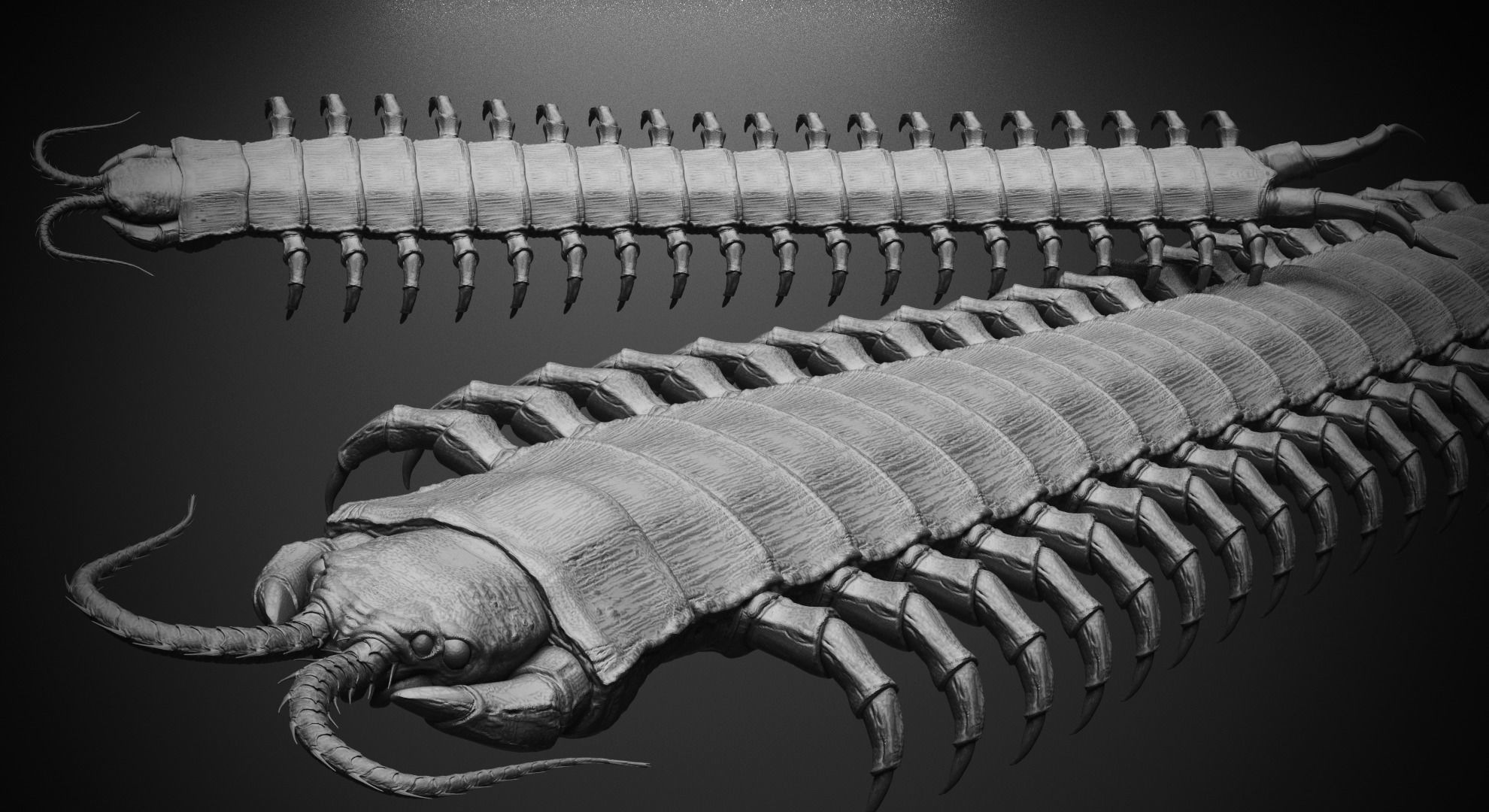 CRAWLERS - 33 Creeping Beasts Curve Brush and OBJs 3D model_20