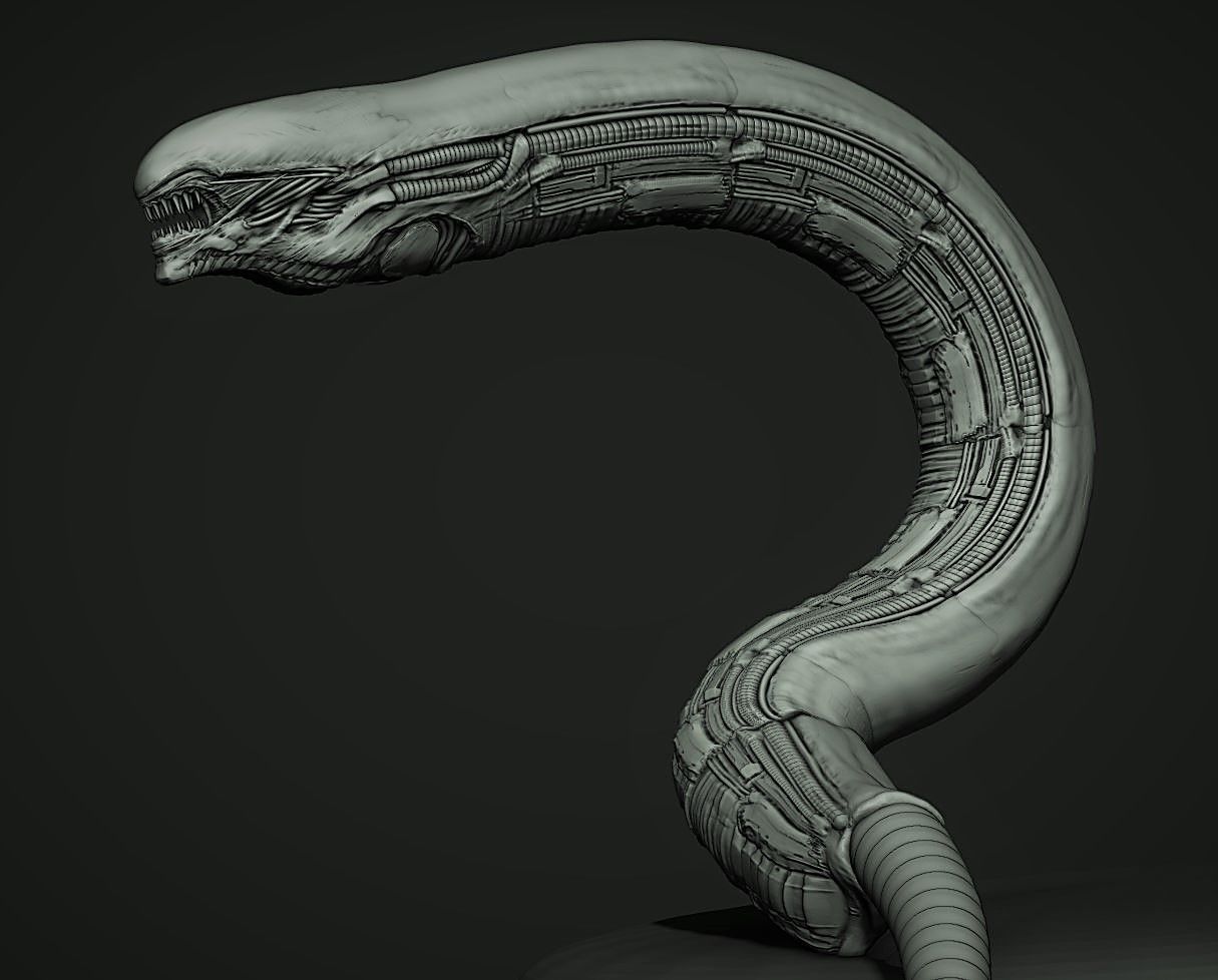 CRAWLERS - 33 Creeping Beasts Curve Brush and OBJs 3D model_52