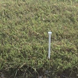 Printable Golf Tee 3D print model_1