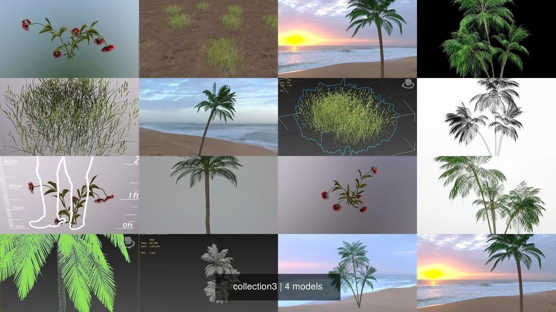 collection3 palm trees and other plants _0