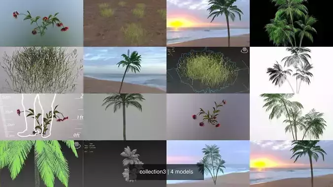 collection3 palm trees and other plants 