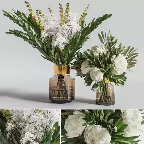 Flower Set 008 Peony and Baby breath 3D model
