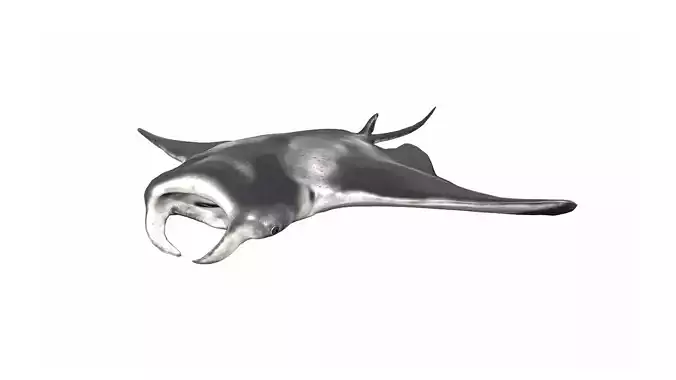 Manta Ray Low-poly 3D model