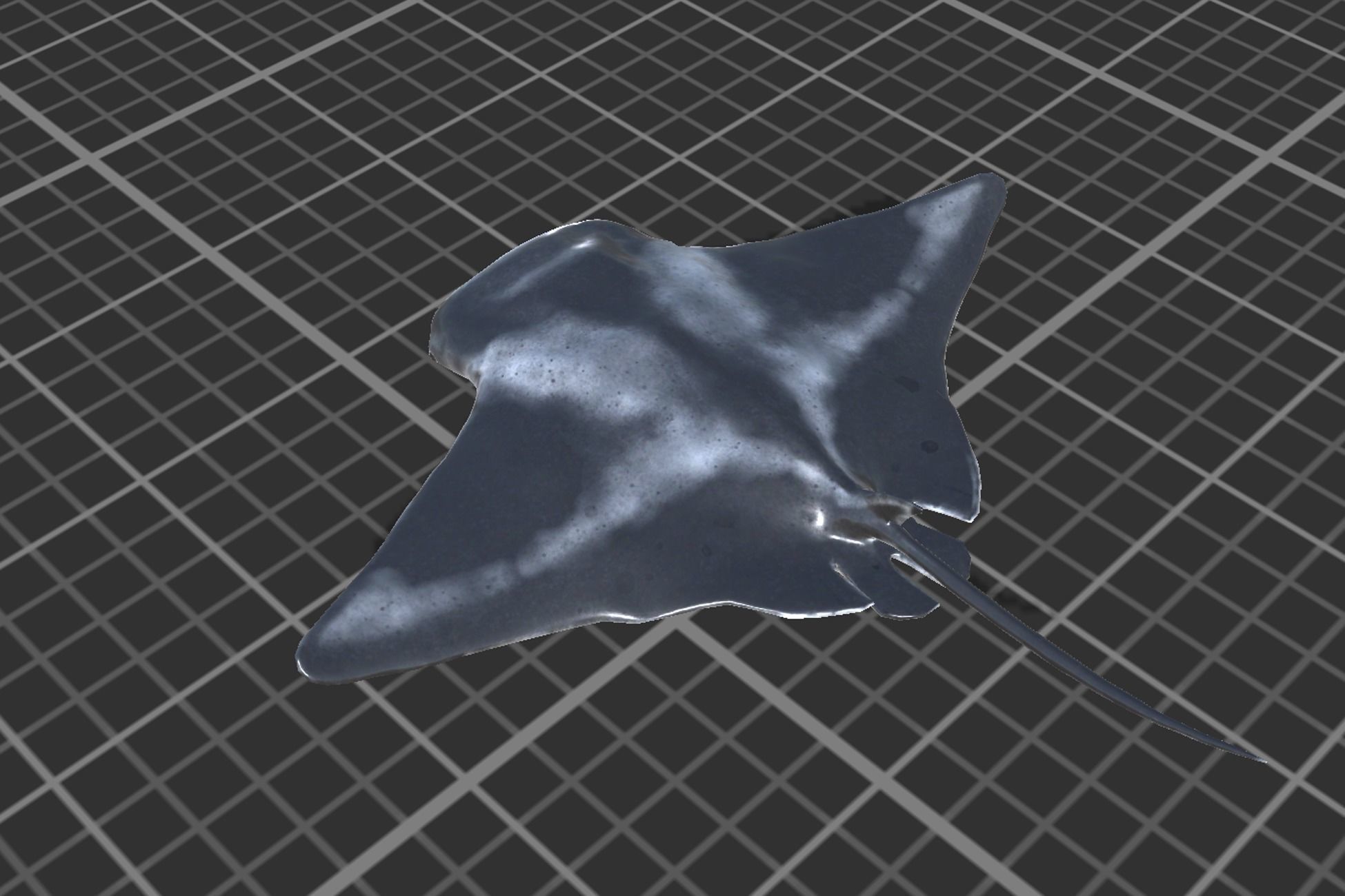 Manta Ray Low-poly 3D model_5