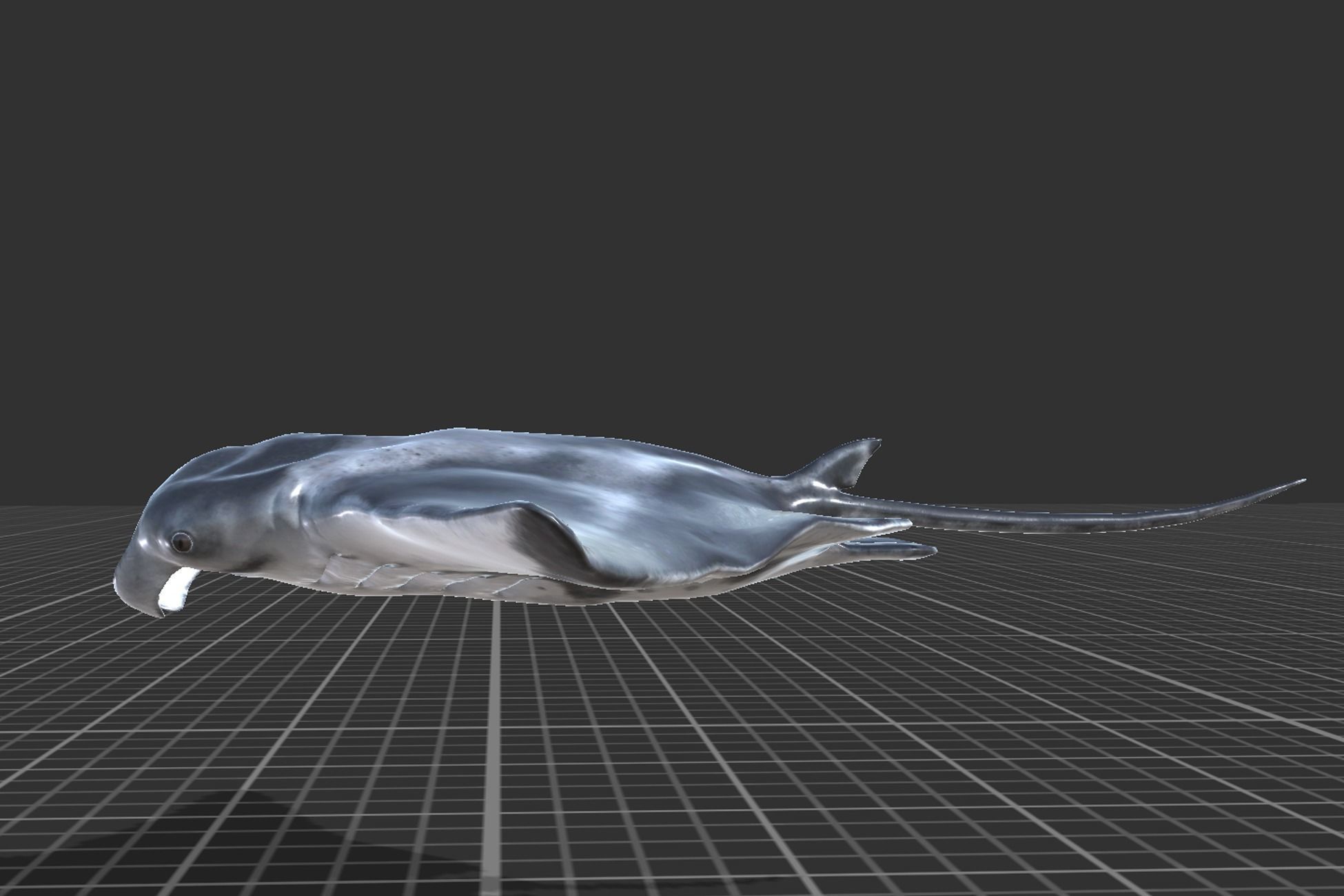 Manta Ray Low-poly 3D model_3