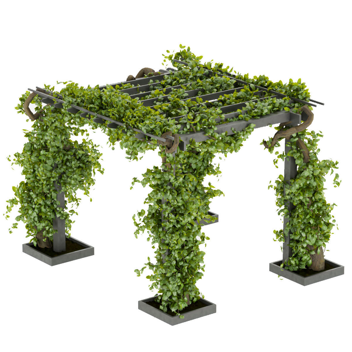 Collection plant vol 269 -Fitowall - garden - ertical 3D model_1