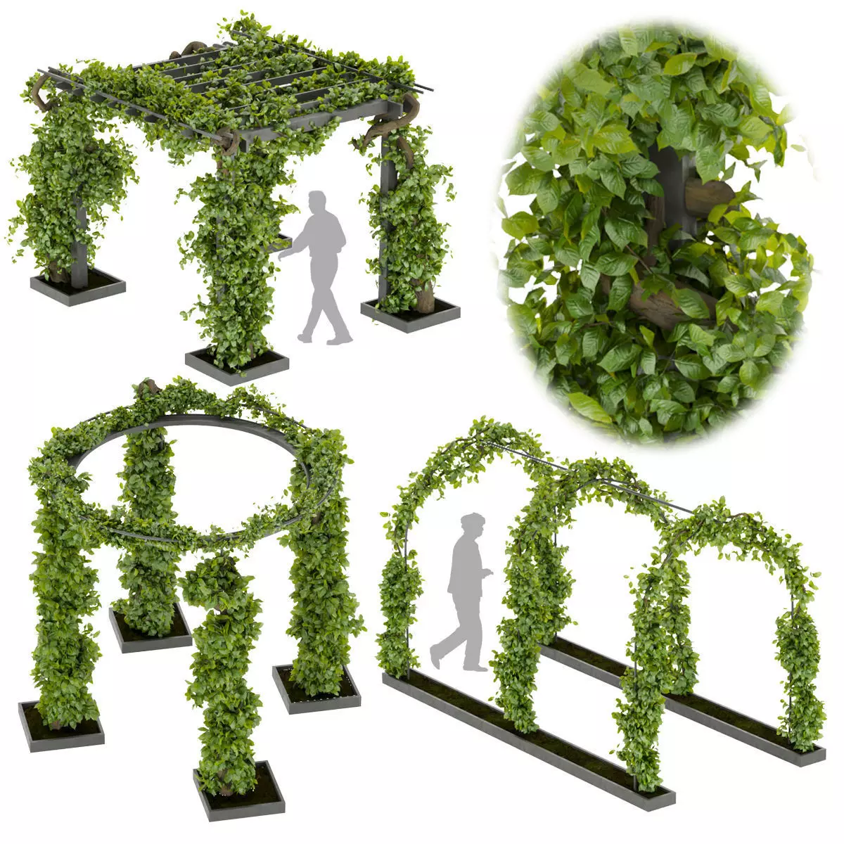 Collection plant vol 269 -Fitowall - garden - ertical 3D model_0