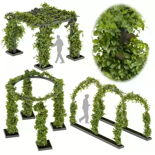 Collection plant vol 269 -Fitowall - garden - ertical 3D model