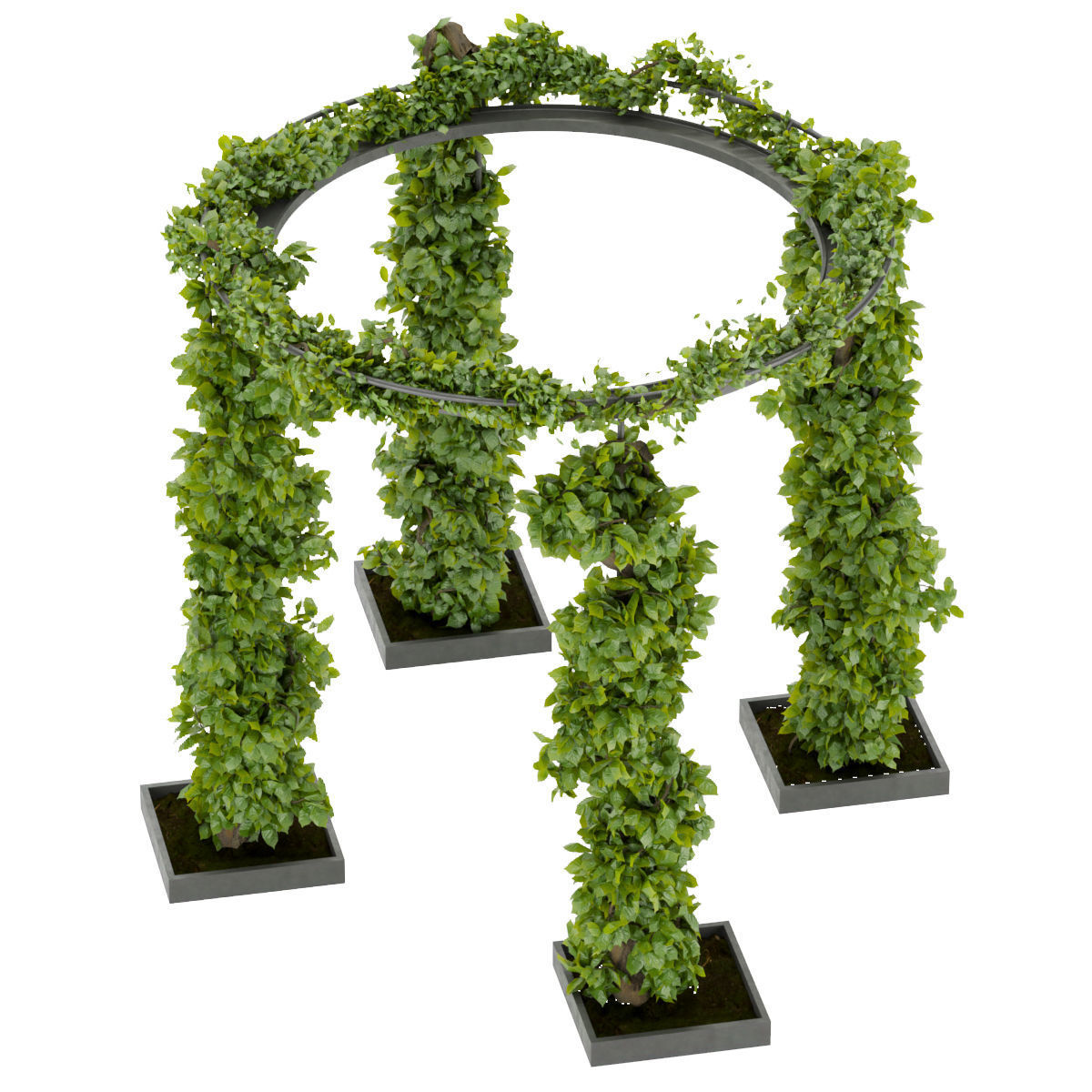 Collection plant vol 269 -Fitowall - garden - ertical 3D model_3