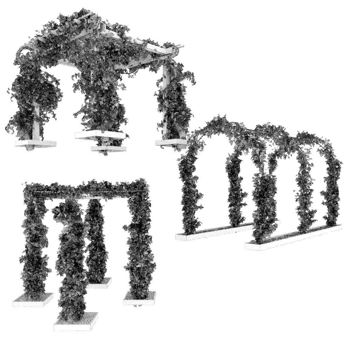 Collection plant vol 269 -Fitowall - garden - ertical 3D model_6