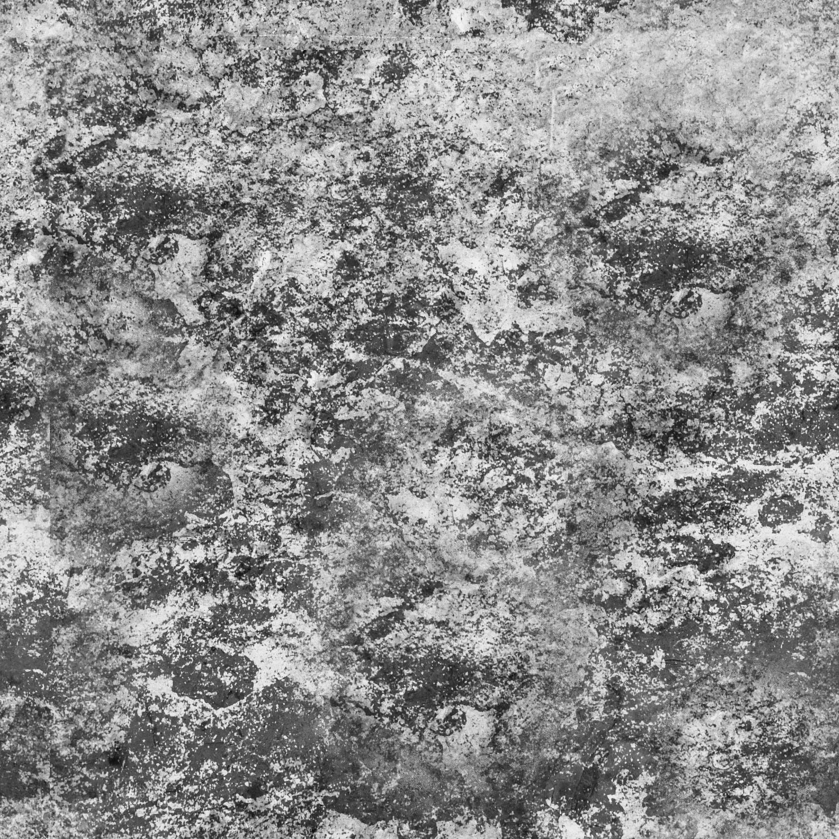 model beautiful white statue of nefertiti 3D model_2