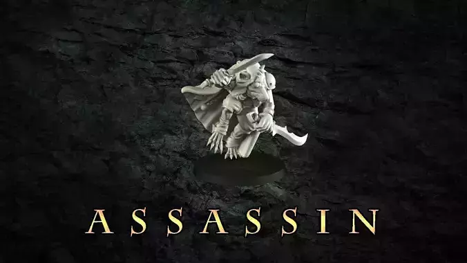 Rat Assassin 3D print model