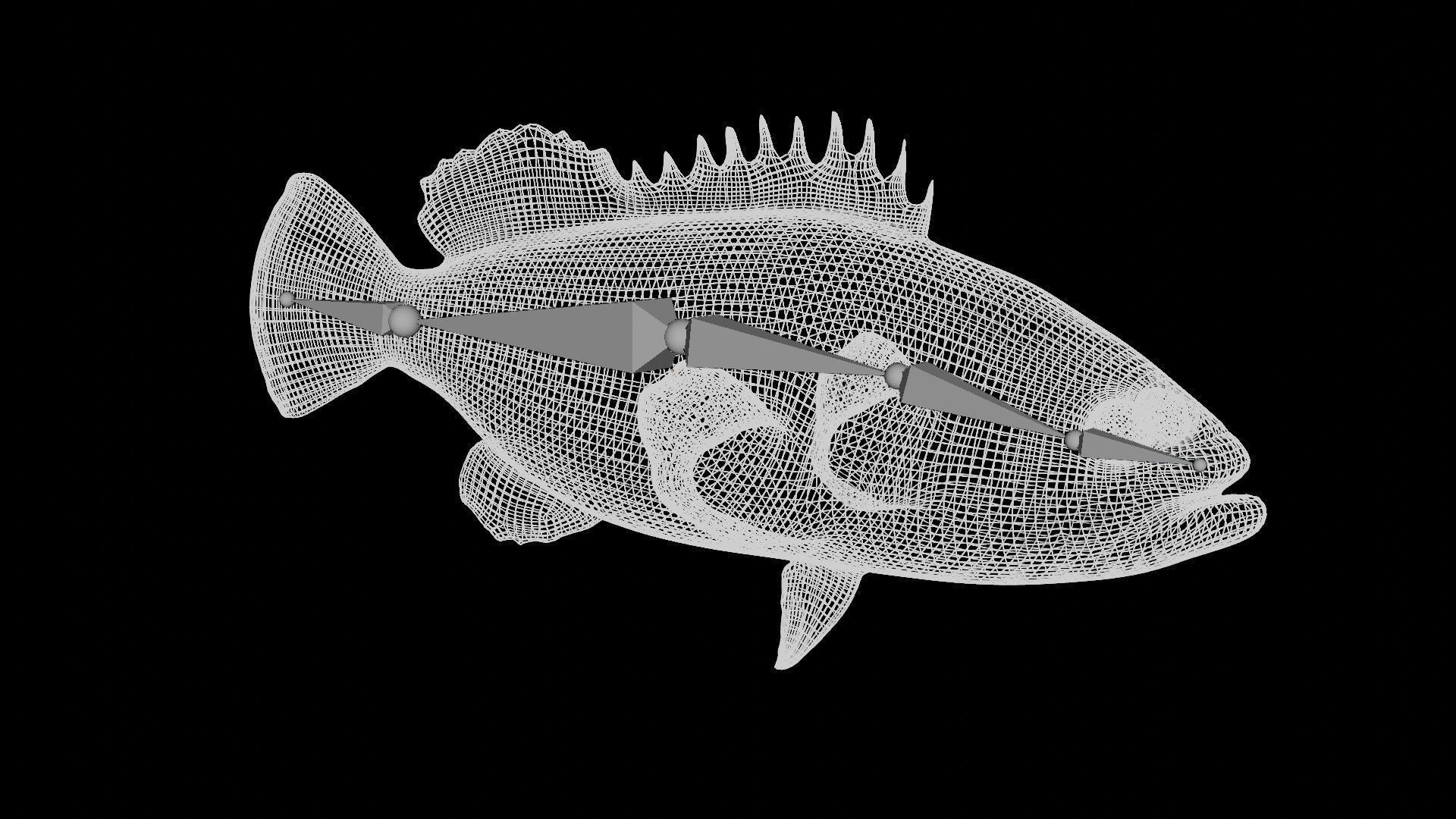 grouper fish Low-poly 3D model_7