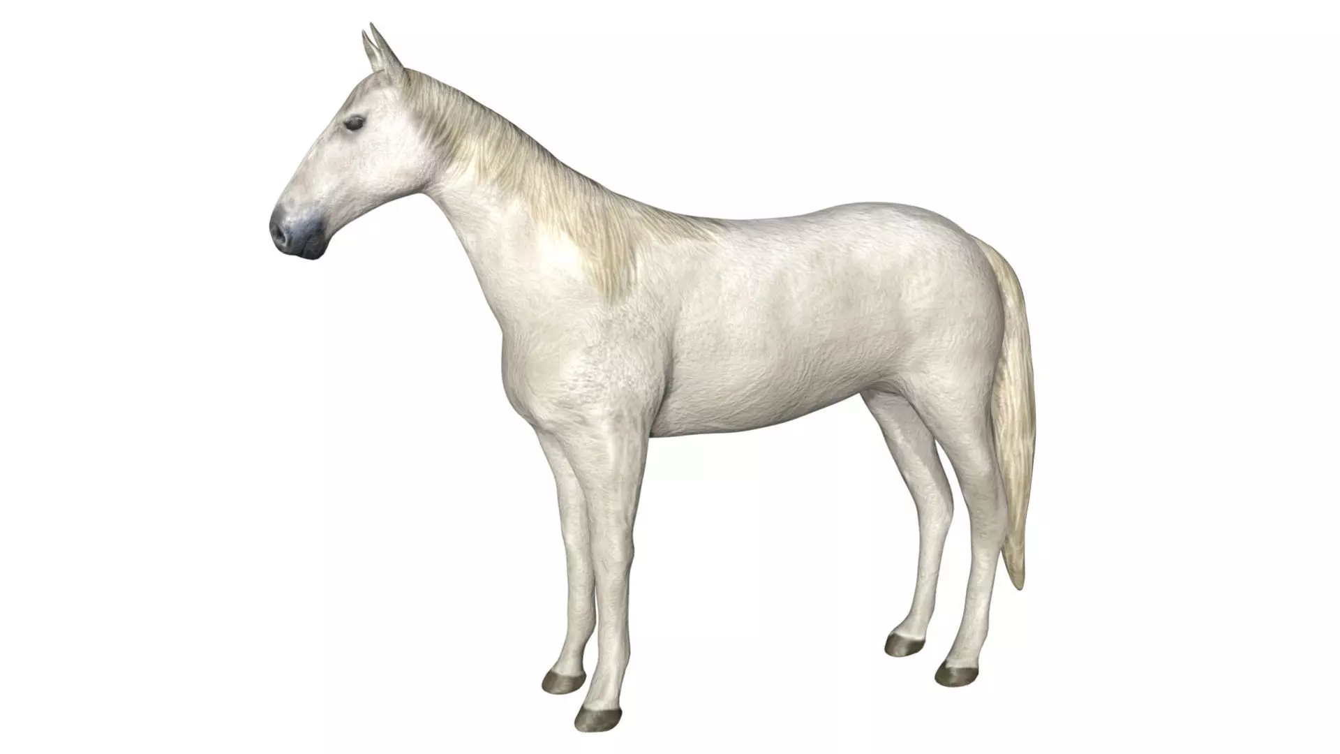 Horse Low-poly 3D model_0