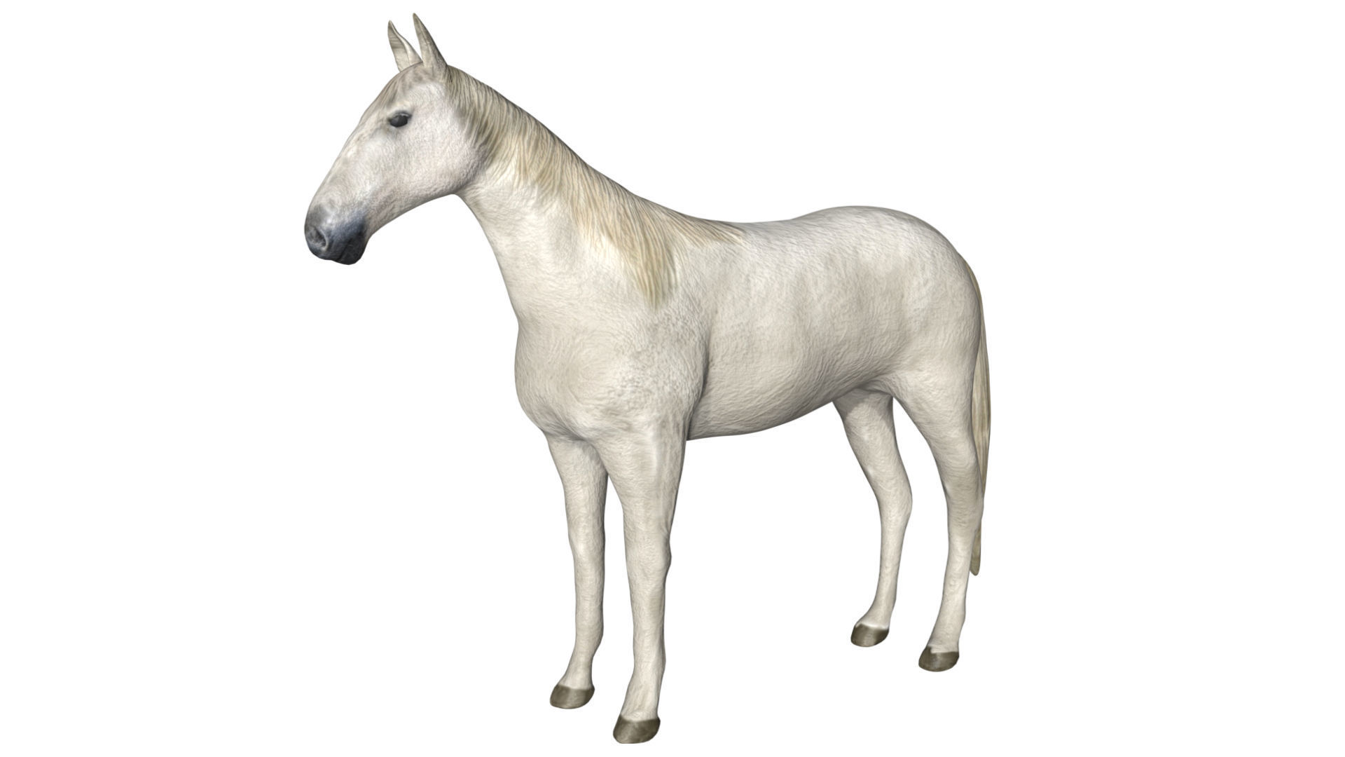 Horse Low-poly 3D model_3