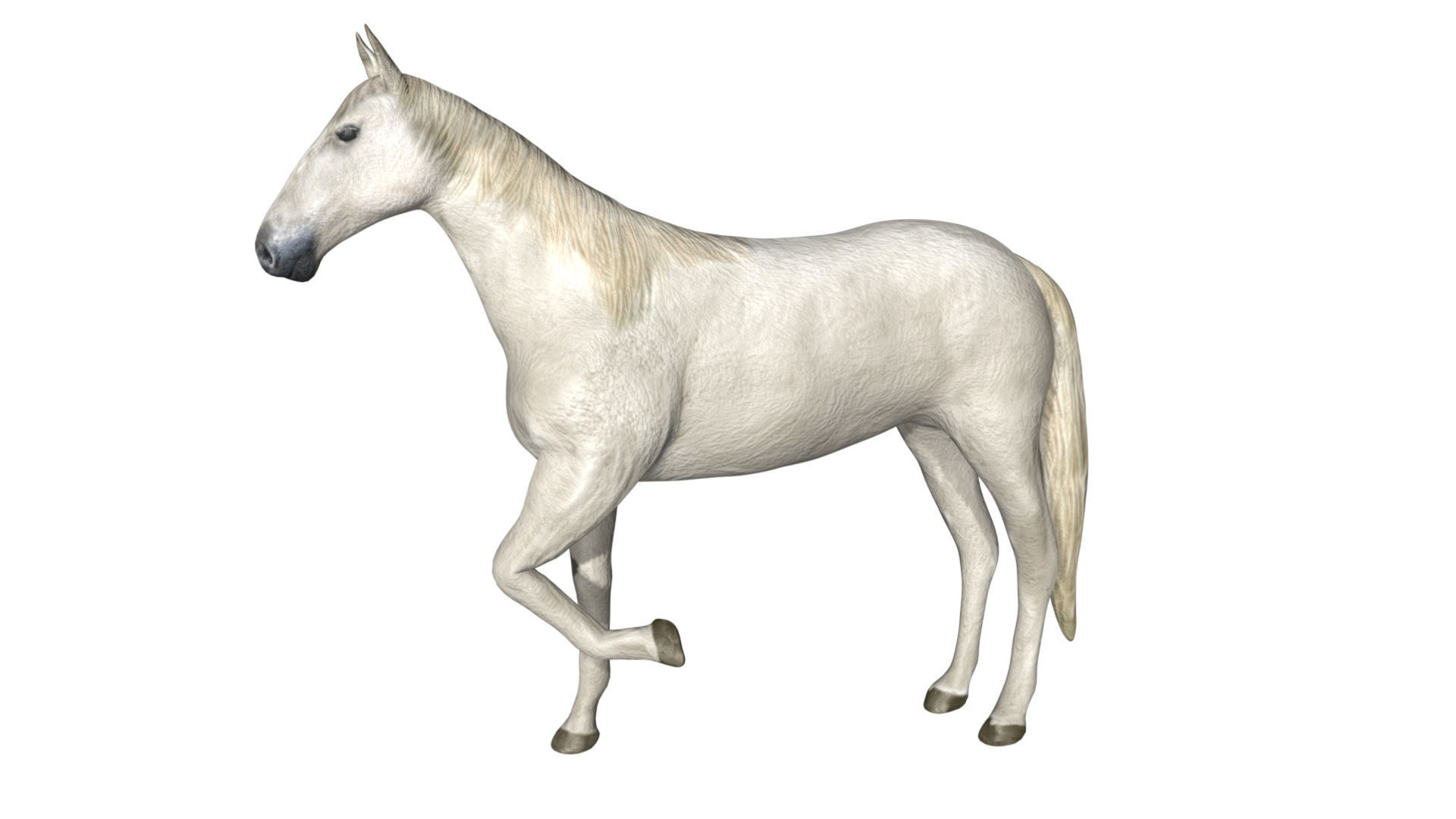 Horse Low-poly 3D model_2