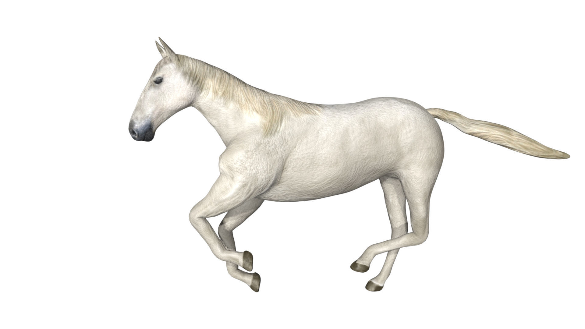 Horse Low-poly 3D model_1