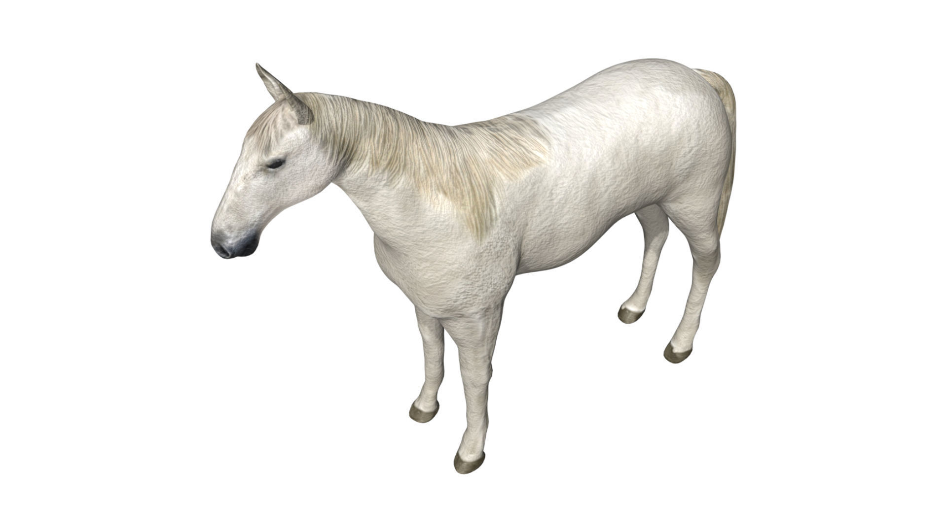 Horse Low-poly 3D model_5