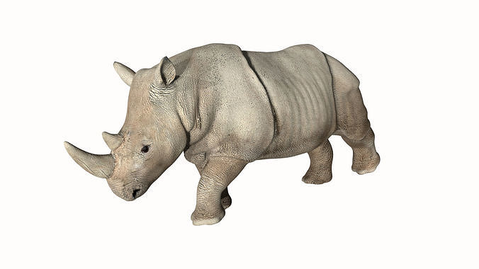 Rhino rhinoceros Low-poly 3D model