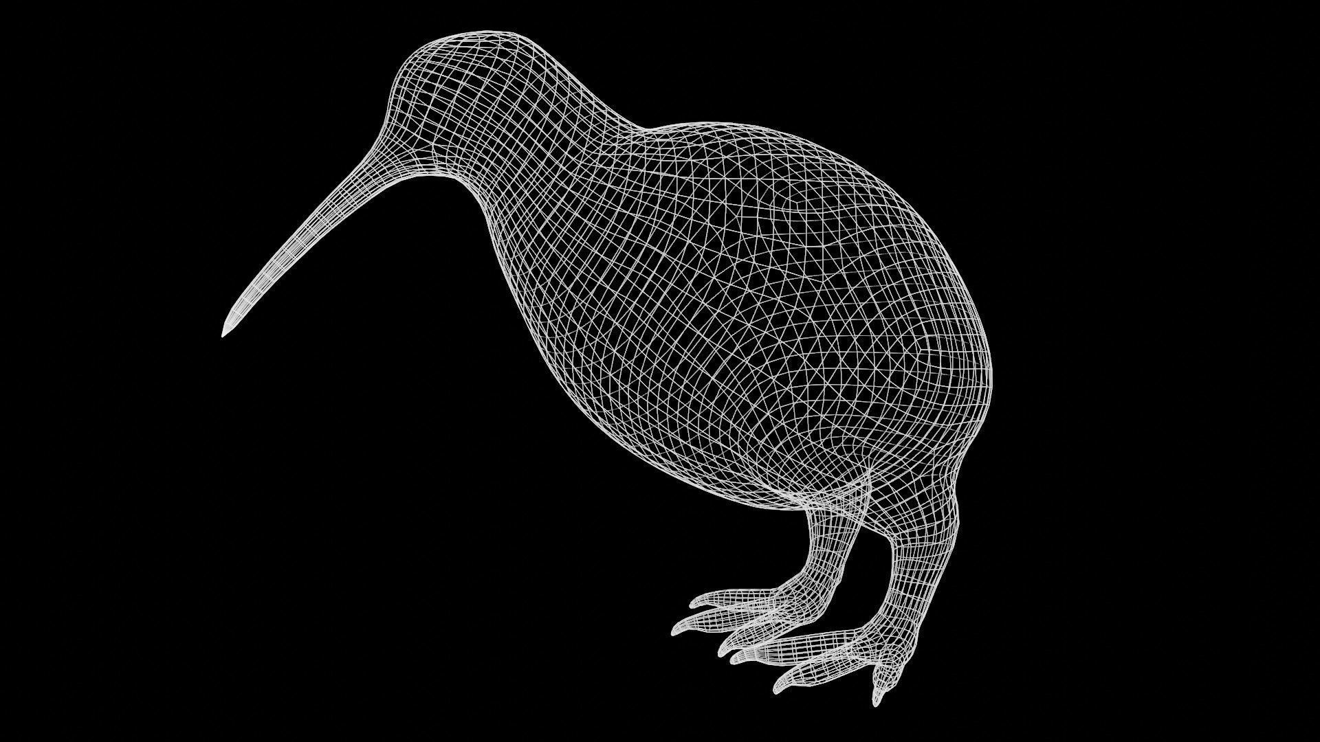 kiwi bird Low-poly 3D model_6