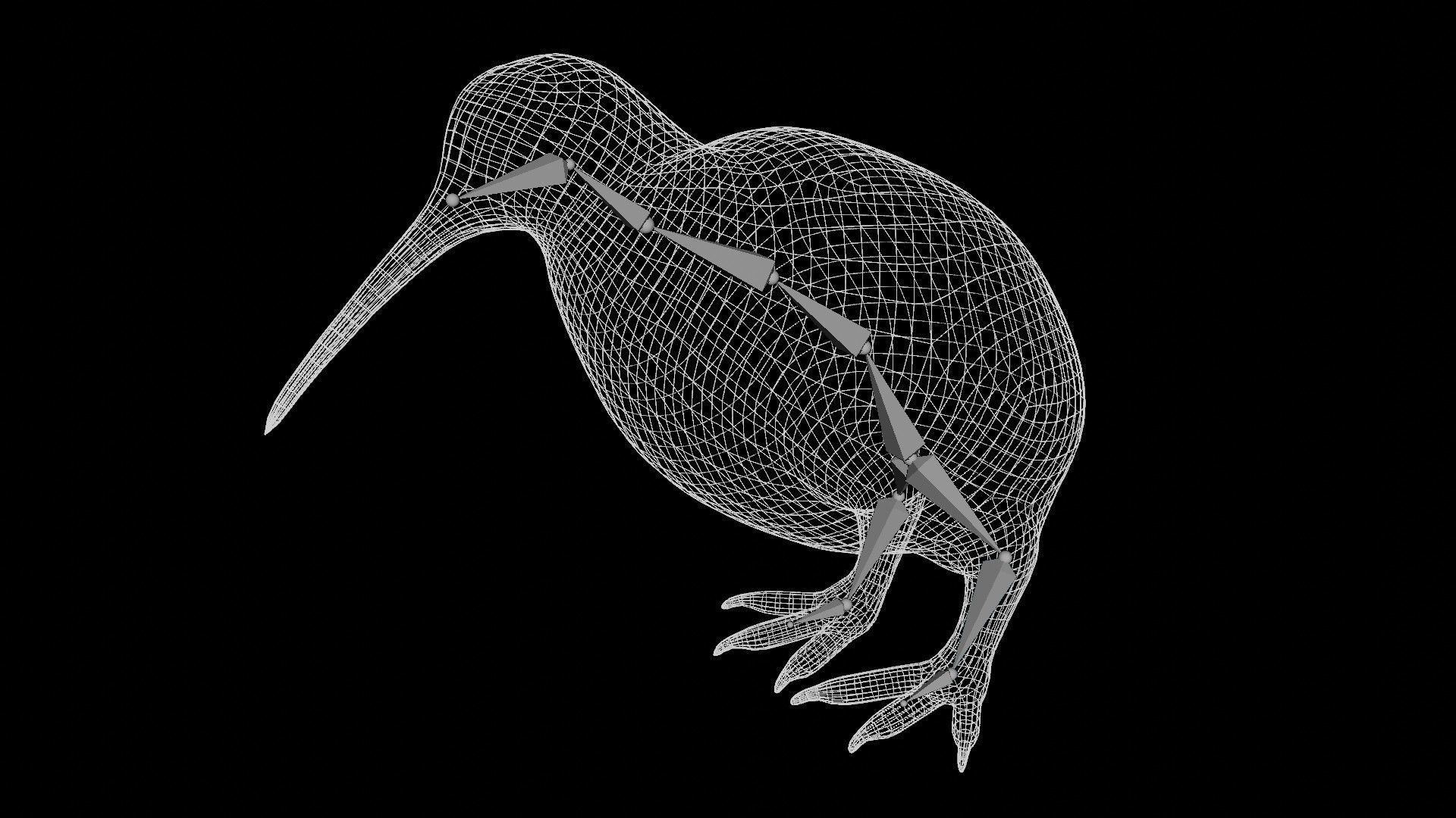 kiwi bird Low-poly 3D model_5