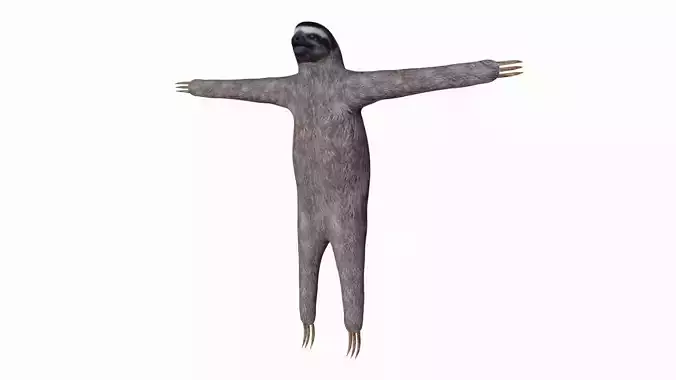 Sloth Low-poly 3D model