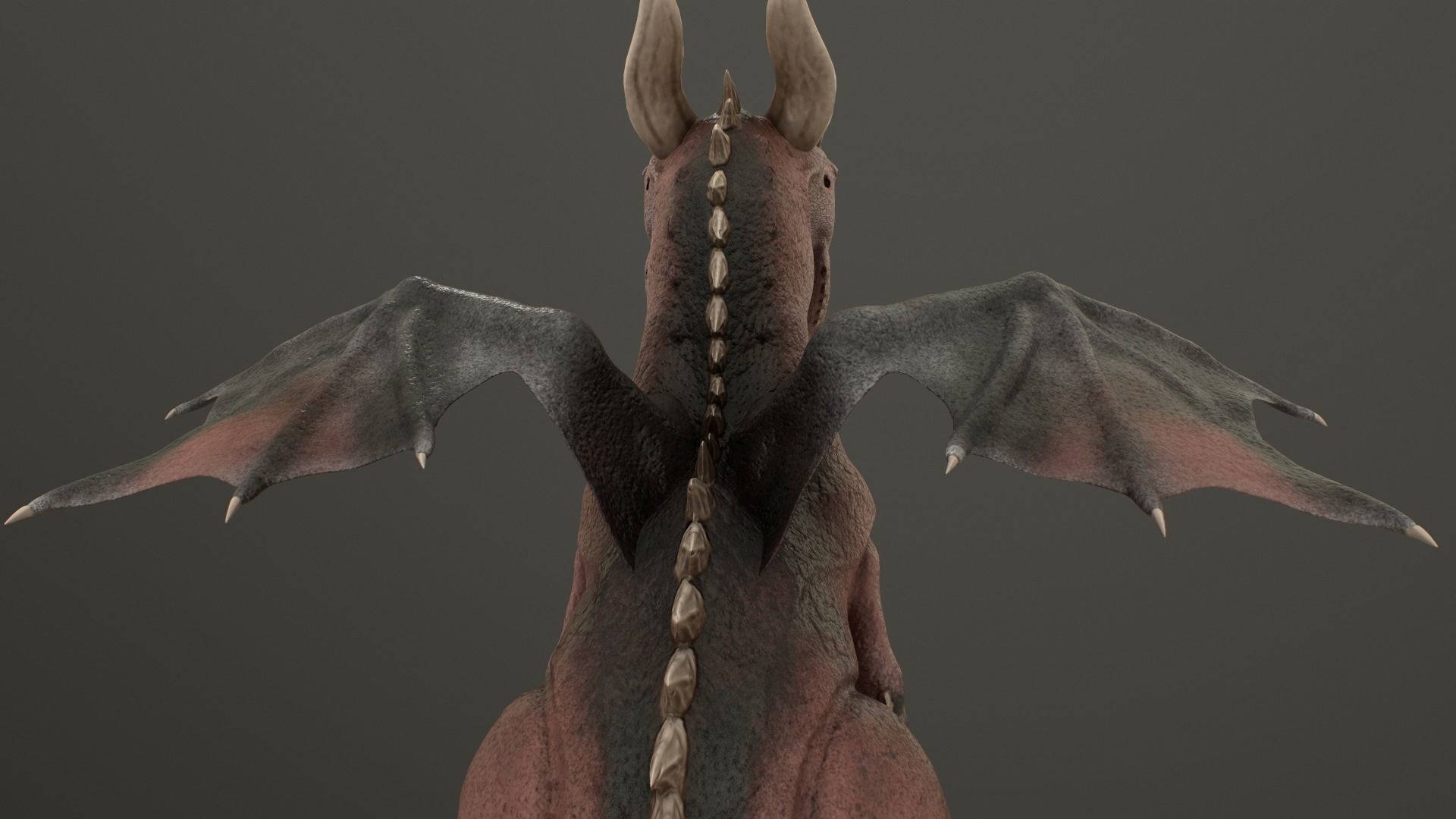 Baby Dragon Low-poly 3D model_35