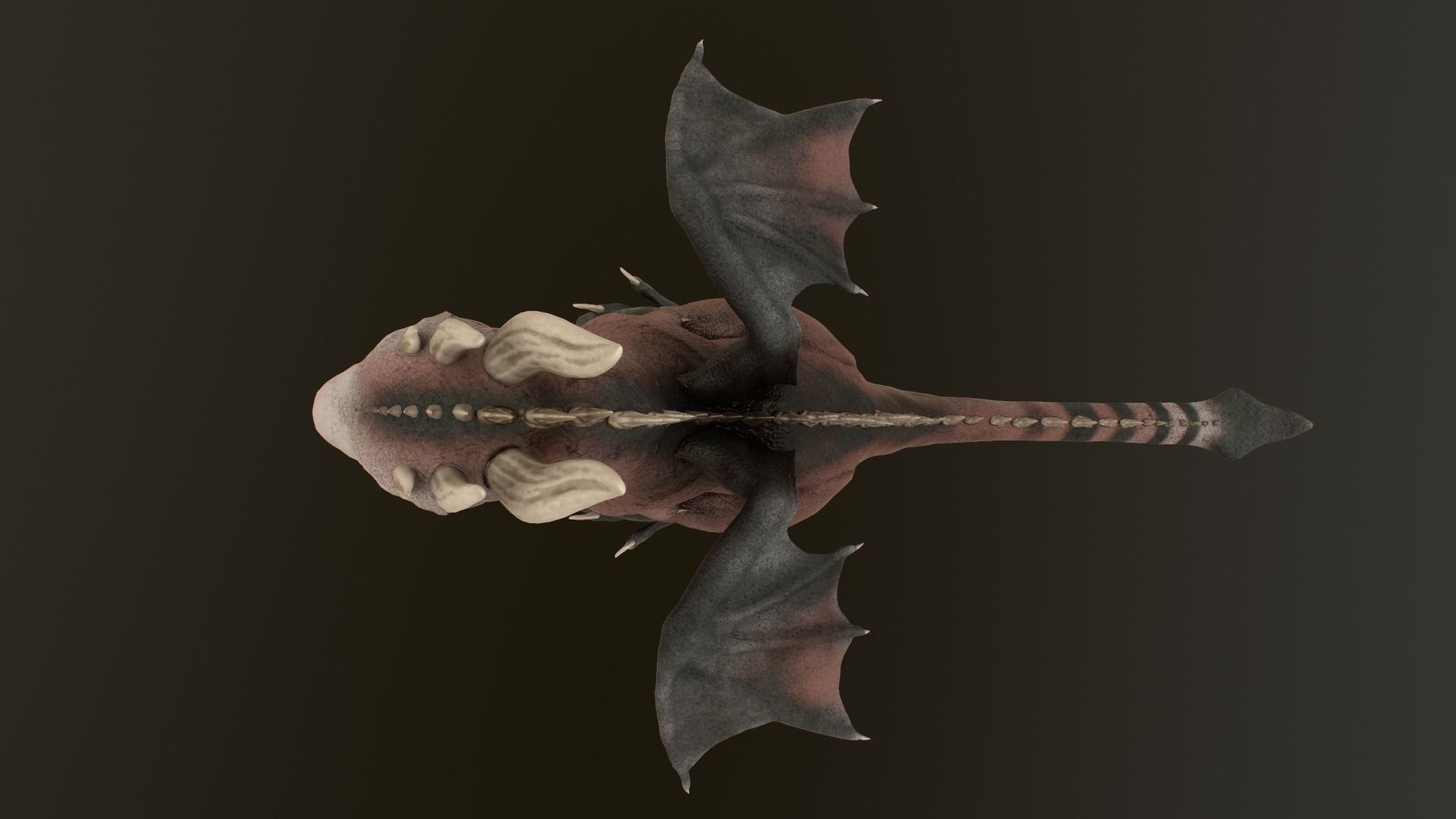 Baby Dragon Low-poly 3D model_36