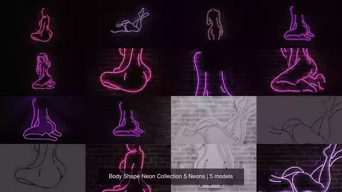 Body Shape Neon Collection 5 Neons 