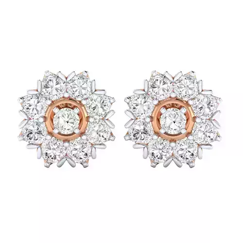 Women Earrings - 1043