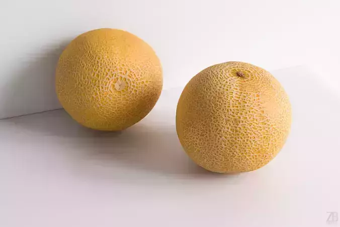 Melon 3D model