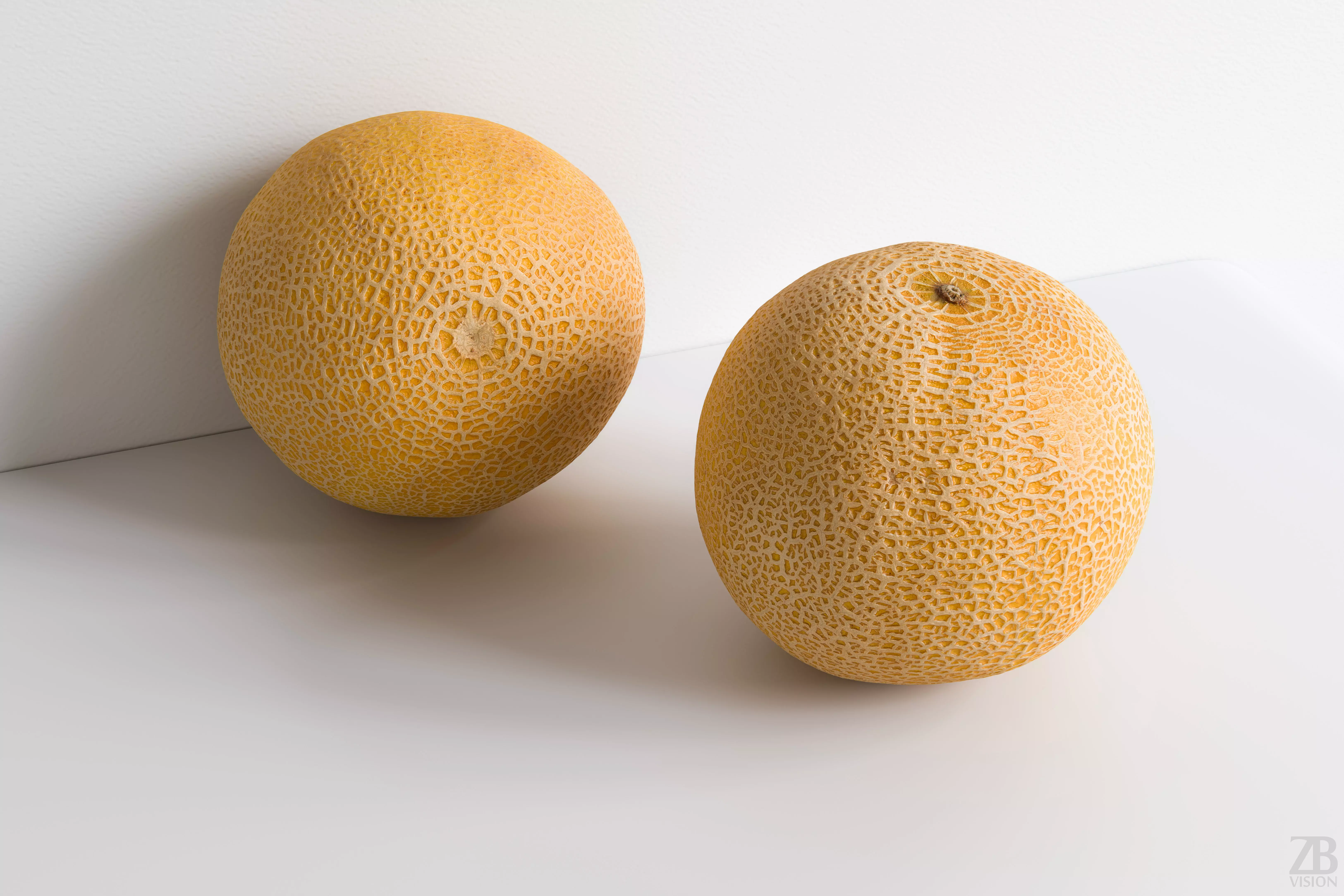 Melon 3D model_0