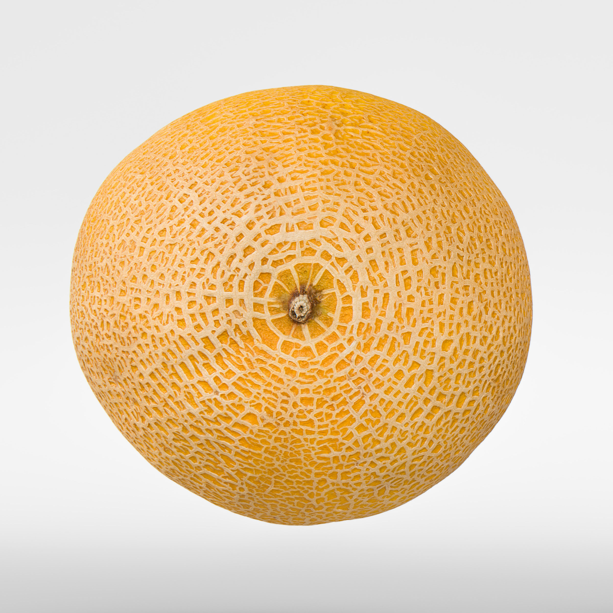 Melon 3D model_5