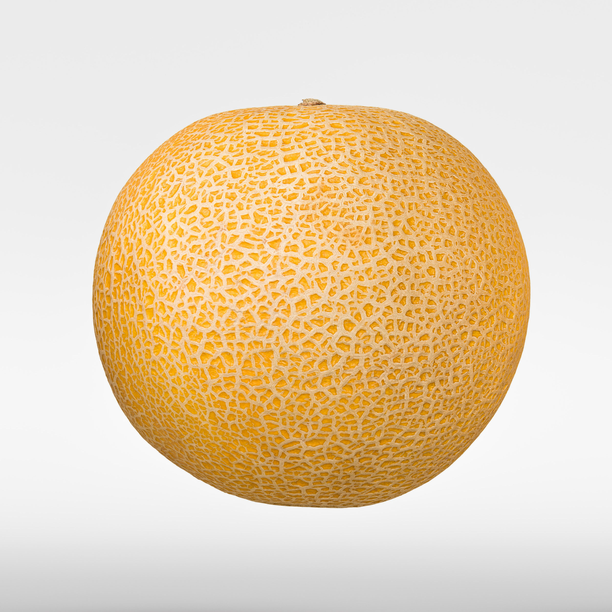 Melon 3D model_6