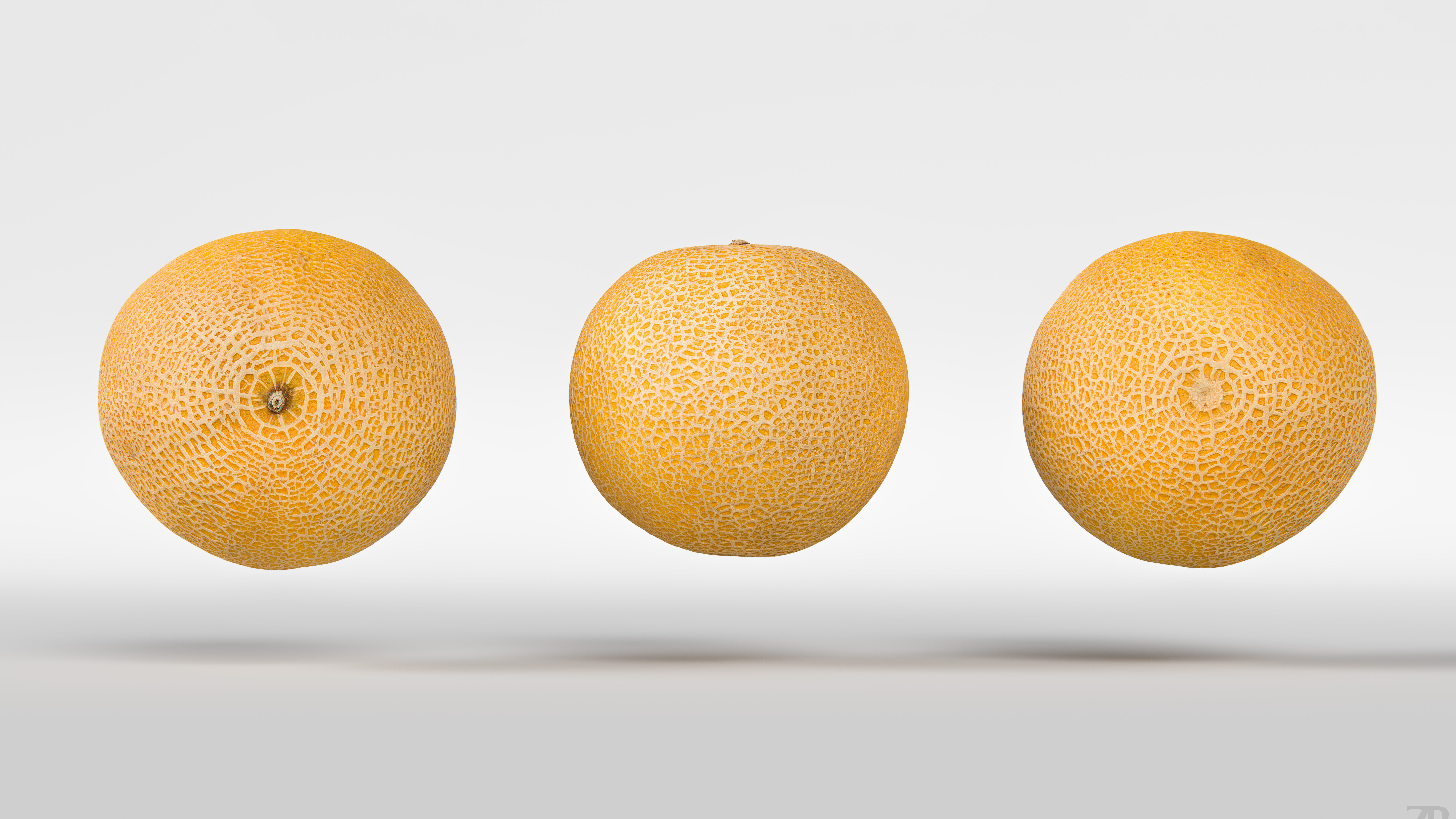 Melon 3D model_4
