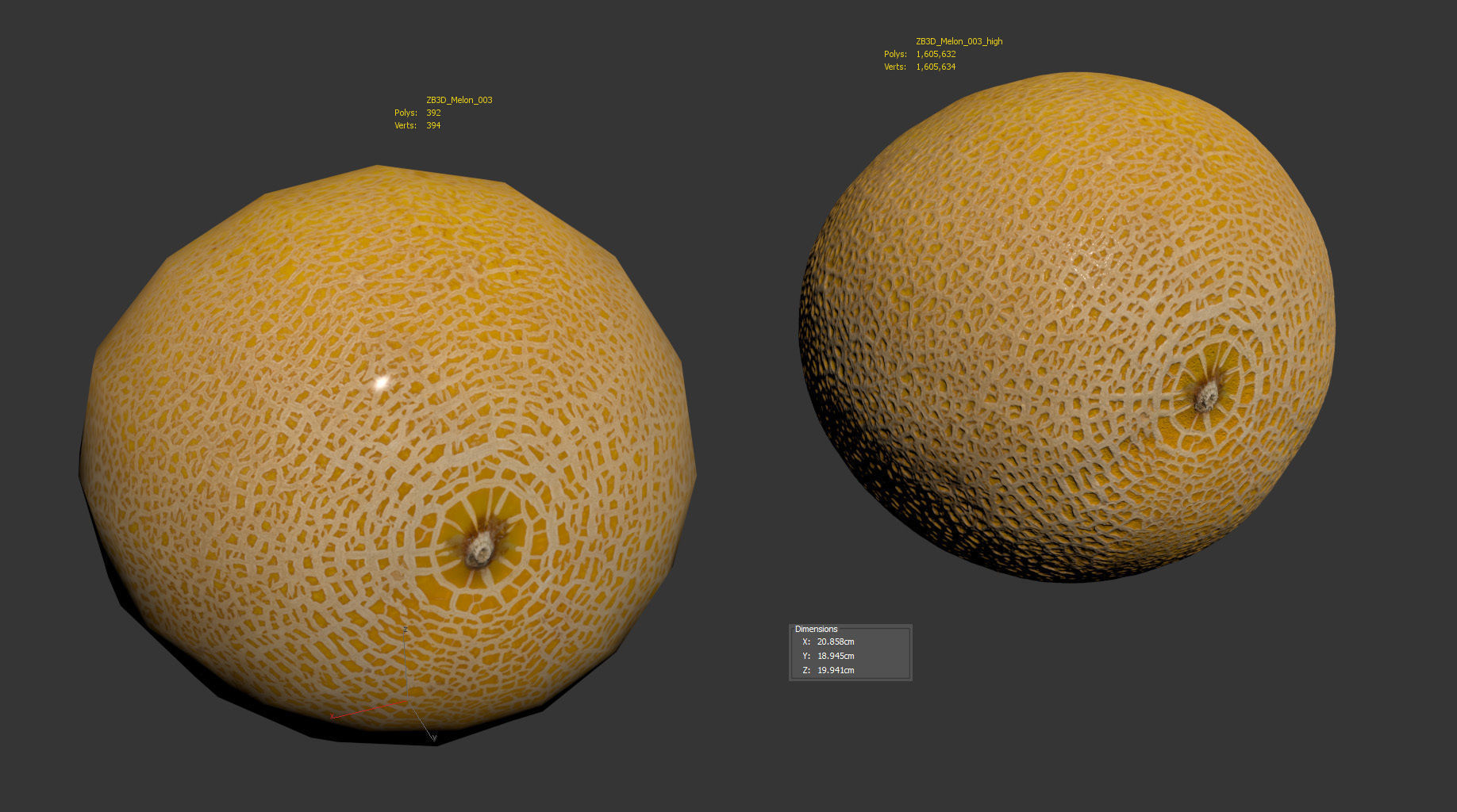 Melon 3D model_8