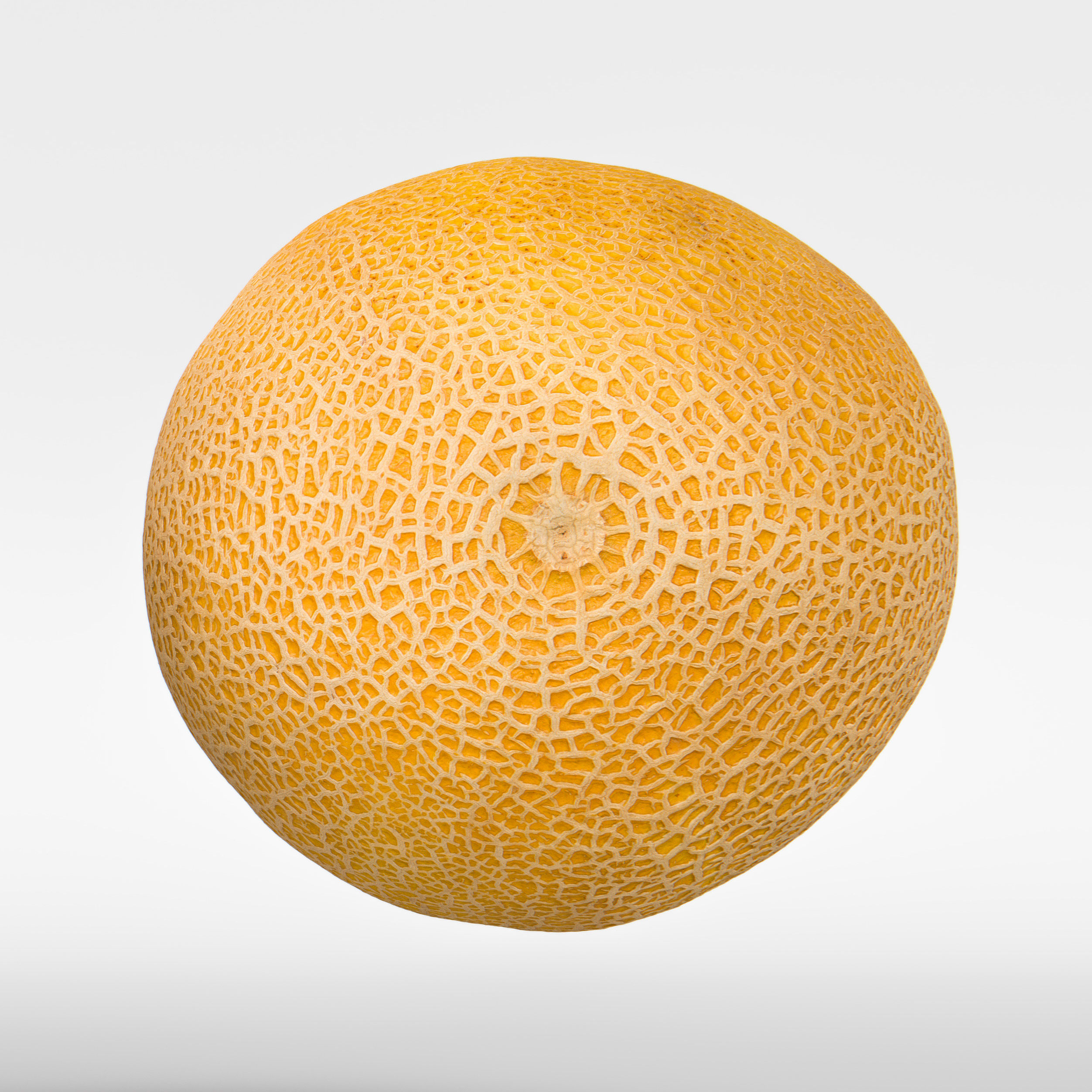 Melon 3D model_7