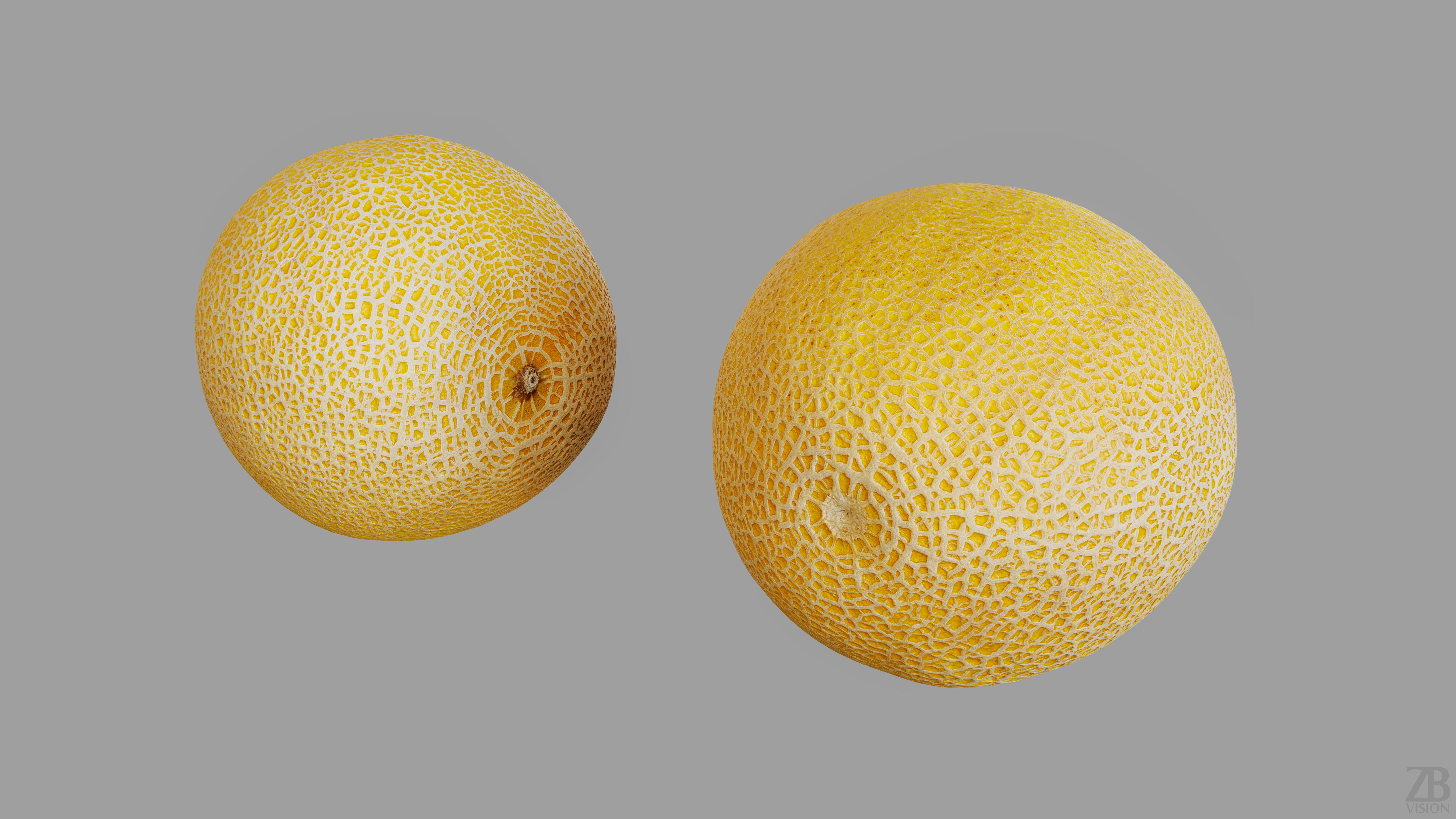 Melon 3D model_11