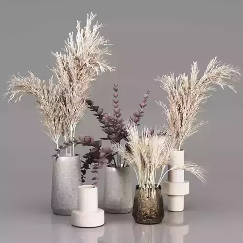 Dried Plant Bouquets in Vases 2
