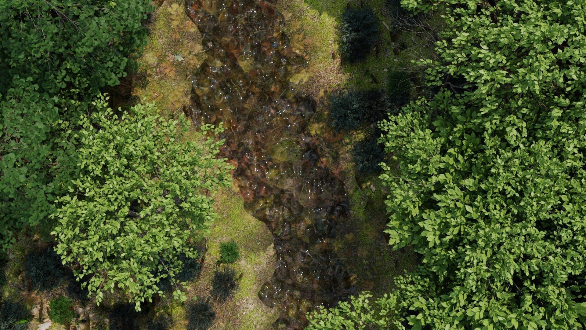 river in woods 3D model_6