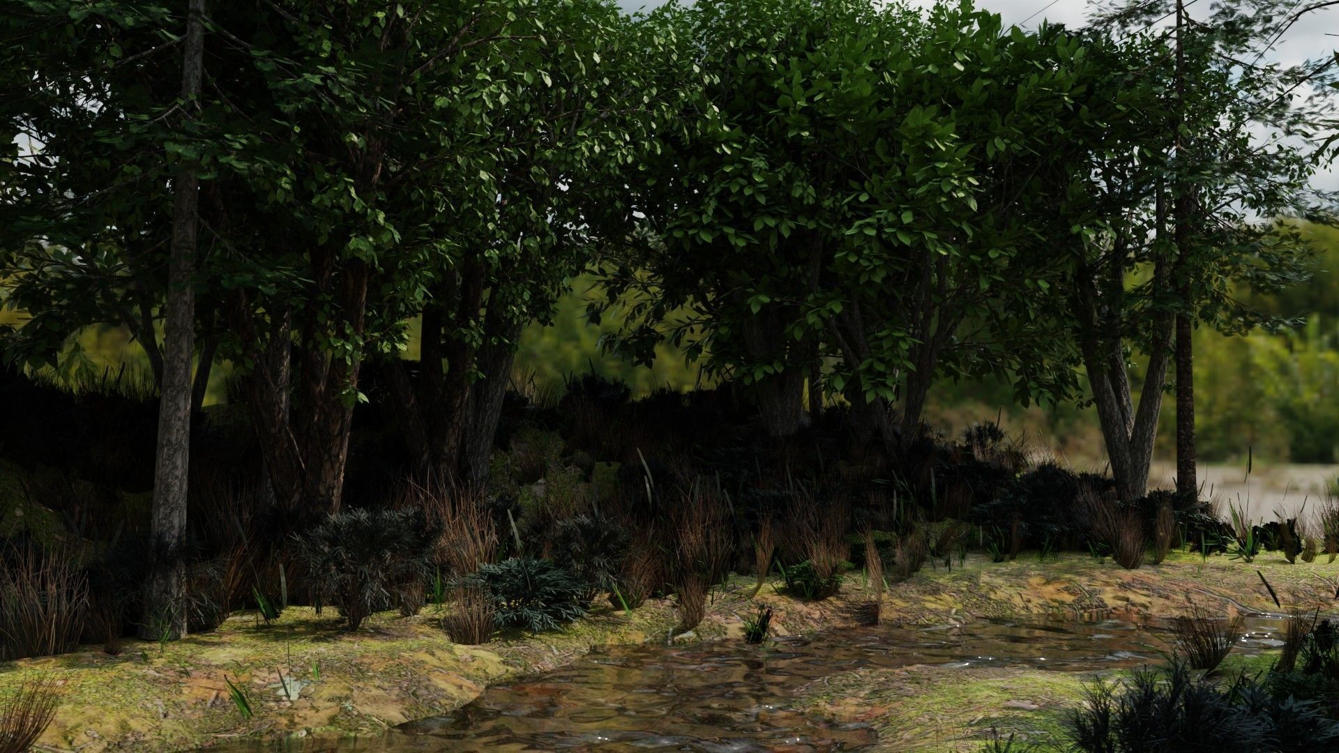 river in woods 3D model_5