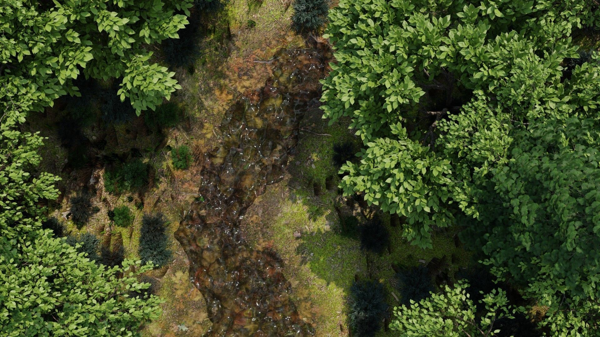 river in woods 3D model_7